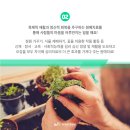 나무원예 이미지