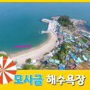 여수몽돌 이미지