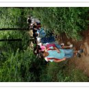 수원-0008 이미지