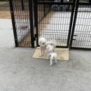 계양경기장 운동장 이미지