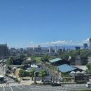 [언제든학교]여행의 정수 시즌 4 : 시 낭독 여행 | [오사카워홀] 임상현 부동산 후기 🏠