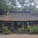 비래사