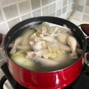 스테이인주 | Daily Log.9 : 하루하루 모아보니 꽤 알찼다