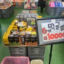 뽑기노리 | 서귀포기념품, 서귀포올레시장소품샵, 돌하르방술잔, 우도삼춘땅콩샌드 추천- 소꿉노리