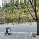 위윌커피 이미지