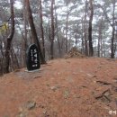 황포항 이미지