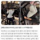 아크로짐 외대점 이미지