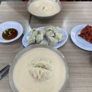 🫘 [내돈내산] 콩국수 러버의 서울 콩국수 맛집 TOP 3 | 진주집 vs 진주회관 vs 맛자랑 비교 후기