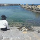 가파도 공중화장실 | 제주 가파도 청보리밭 해안가 산책 기록 #4월의가파도