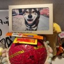 덕구국밥 이미지