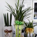 한국타이어 고골향교점 이미지