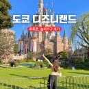 주식회사그루디자인 | 일본 도쿄 디즈니랜드 평일 후기 놀이기구 추천, 포토존 포토스팟 공유