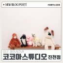 견생스타일 | 대구셀프사진관 반려견 견생샷찍을 수 있는 코코아스튜디오 진천점