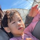 철원어린이집 놀이터 | 철원 체험형 키즈캠핑장 늘푸른체험농원
