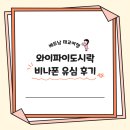 베트남 여행 유심 비나폰 후기 (와이파이 도시락)