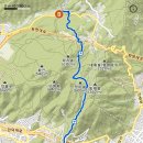 금용 Daum카페