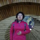 한국시낭송예술인협회 이미지