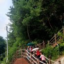 금원산자연휴양림 이미지