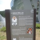 호랑이 태권도장 네이버블로그