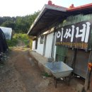 이씨네하우스 이미지