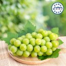 금호농협 이미지