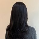 오늘은 헤어 이미지