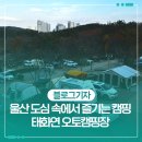 태화연 오토야영장 이미지