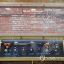 198 연합뉴스