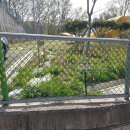 단원고등학교 이미지