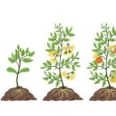 나를 본다 이미지