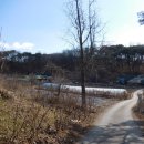 안말목장 이미지