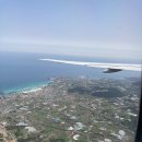 제쥬엔 | [제주도 여행 준비] 항공사별 애견동반 규정 총정리/기내용 이동가방/제주애견동반 스타렌트카/제주애견...