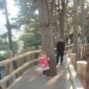 올리브커플펜션 이미지