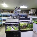 베스트피쉬 수족관 이미지