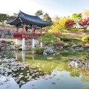 한방자연휴양림 이미지