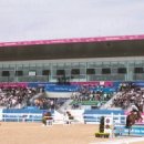 인천 승마장 이미지