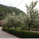 살구미둘레길입구 이미지