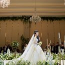 화이트홀 이미지