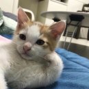 눈누난나 이미지