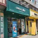 [가재울 카페 오와케이크] 달콤한 케이크 천국 | 가좌역 케이크 전문점