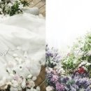 블루밍스튜디오 이미지
