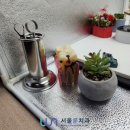 서울룬치과의원 이미지