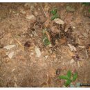 시산민박 이미지