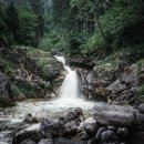 자연의소리 이미지