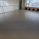 댕댕학당 이미지