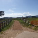 강원목장 이미지