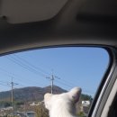 텐빌멍하우스 이미지