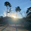 삼일농장 이미지