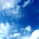 대지의 염원 이미지