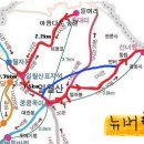 아랫대티 숲 이미지